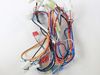11736315-1-S-GE-WB18X26777-MAIN HARNESS WIRE