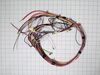 WIRING HARNESS – Part Number: 316506217