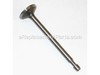 Valve-Intake – Part Number: 296677