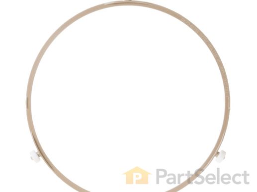 952358-1-M-GE-WB06X10529        -ROLLER GUIDE RING